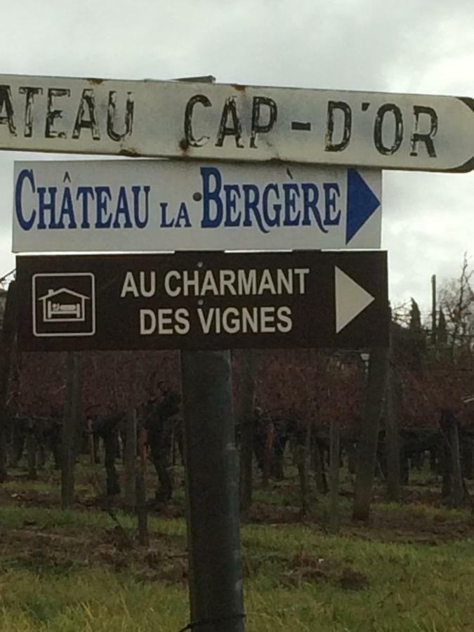 Au Charmant Des Vignes Montagne  Exterior foto